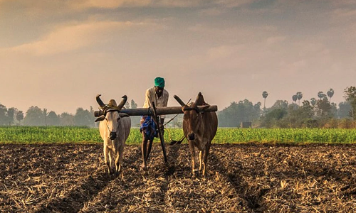 Agriculture Bills : Kisan Bill 2020: नवीन कृषी विधेयकांच्या निमित्ताने...
