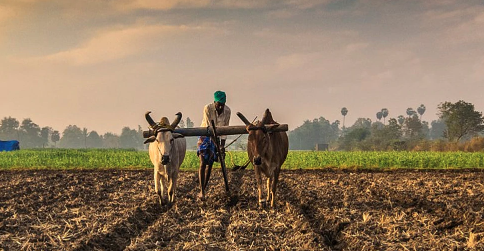 Agriculture Bills : Kisan Bill 2020: नवीन कृषी विधेयकांच्या निमित्ताने...