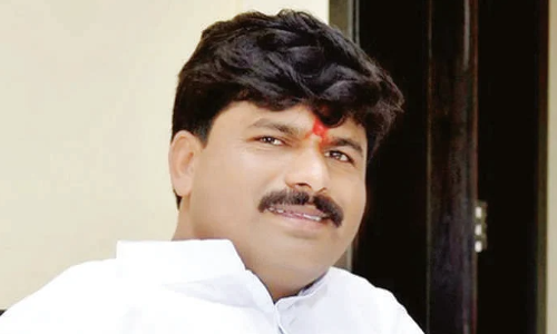 ठाकरे सरकारमधील नेते स्वतःच्या मुलांना सेट करण्यात व्यस्त: गोपिचंद पडळकर