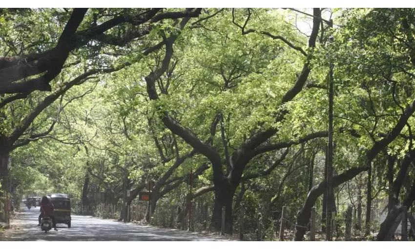 अखेर ठरलं : मेट्रोचं कारशेड कांजूमार्गमध्ये होणार : मुख्यमंत्री उध्दव ठाकरेंची मोठी घोषणा