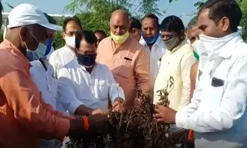 अतिवृष्टी पाहणी दौरा: विजय वडेट्टीवार शेतकऱ्यांच्या बांधावर अतिवृष्टी पाहणी दौरा: विजय वडेट्टीवार शेतकऱ्यांच्या बांधावर