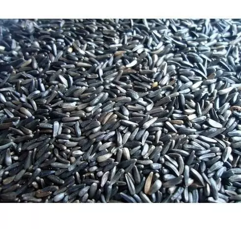 कारळाचा झटका!