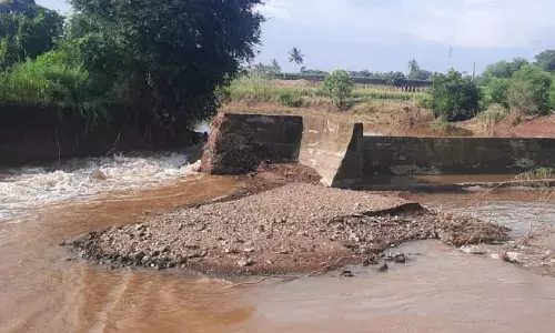 बंधारा फुटला, अग्रणी नदीचे पाणी शेतात बंधारा फुटला, अग्रणी नदीचे पाणी शेतात