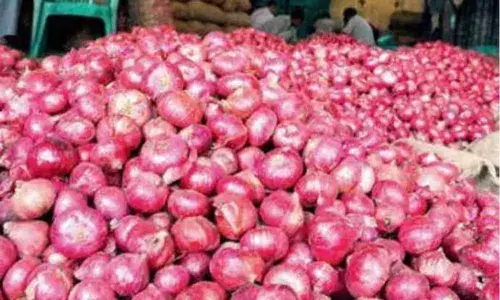 कांद्यांचे भाव का वाढतात? कांद्यांचे भाव का वाढतात?