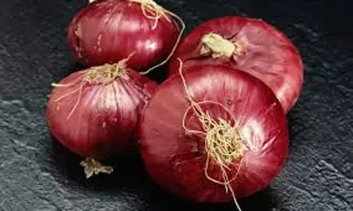 कांद्याचा वांदा का ? कांद्याचा वांदा का ?