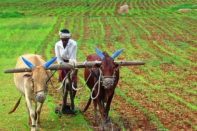 पारंपरिक शेती व विदर्भाची प्रगत कृषी अर्थव्यवस्था