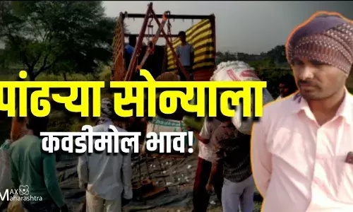 खाजगी व्यापार्यांकडून शेतकऱ्यांची पुन्हा लूट; पांढऱ्या सोन्याला कवडीमोल भाव! खाजगी व्यापार्यांकडून शेतकऱ्यांची पुन्हा लूट; पांढऱ्या सोन्याला कवडीमोल भाव!
