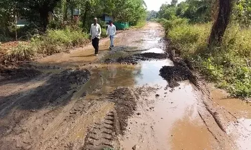 ग्राऊंड रिपोर्ट :  मंत्र्यांनी या रस्त्यावरुन एकदा तरी नक्की जावे ! ग्राऊंड रिपोर्ट :  मंत्र्यांनी या रस्त्यावरुन एकदा तरी नक्की जावे !