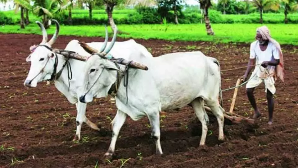 शेती वाचेल तर देश वाचेल