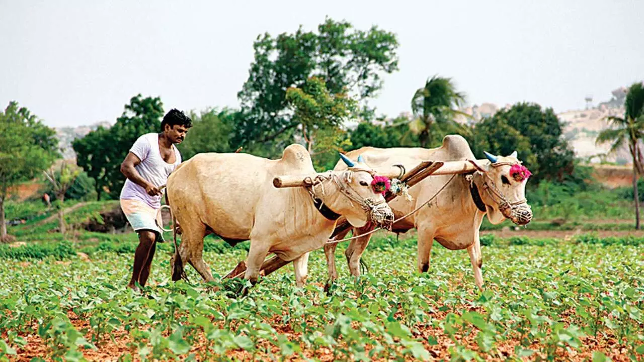 मुख्यमंत्री साहेब शेतकऱ्यांना मदत कधी मिळणार?