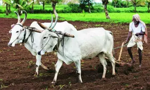 शेतकऱ्यांचा साम्राज्यवादी बहुराष्ट्रीय शत्रू: प्रज्वला तट्टे शेतकऱ्यांचा साम्राज्यवादी बहुराष्ट्रीय शत्रू: प्रज्वला तट्टे