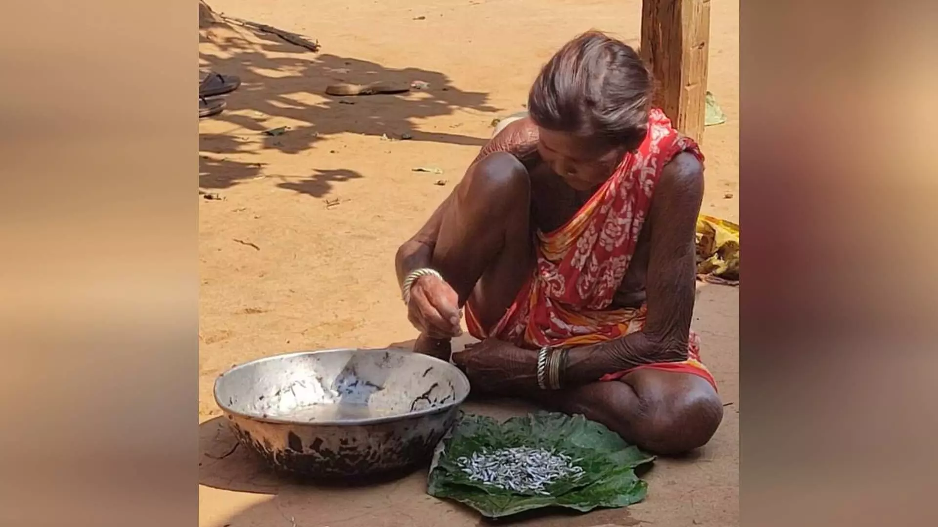 मावा नाटेते विकास बस्के आयार ?