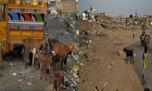 Ground Report : मुस्लिम वस्त्यांचा विकास कधी होणार? Ground Report : मुस्लिम वस्त्यांचा विकास कधी होणार?