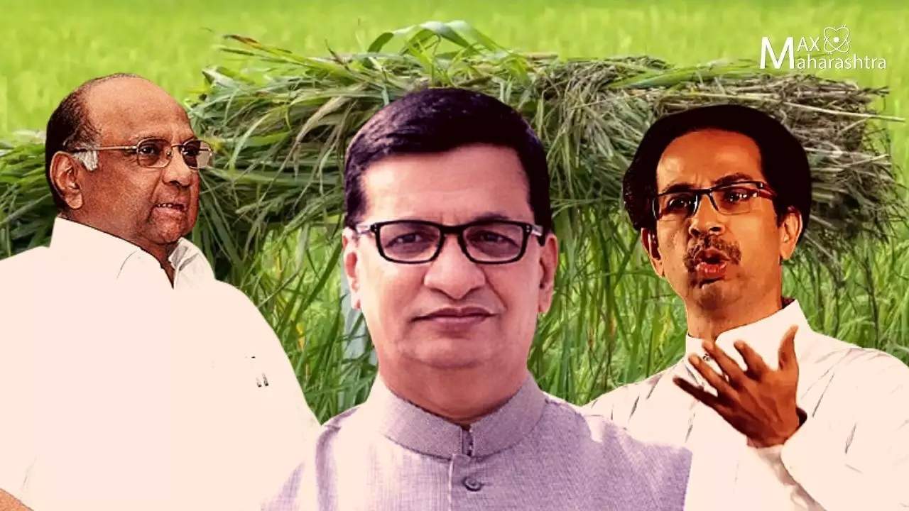 कृषी कायद्यांबाबत महाराष्ट्राची भूमिका काय?
