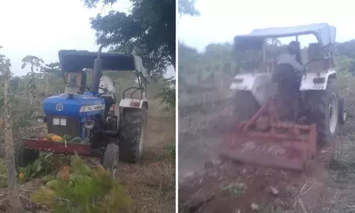 हमीभाव कधी? पपईला कवडीमोल भाव, शेतकऱ्याने बागेवर फिरवले ट्रॅक्टर हमीभाव कधी? पपईला कवडीमोल भाव, शेतकऱ्याने बागेवर फिरवले ट्रॅक्टर