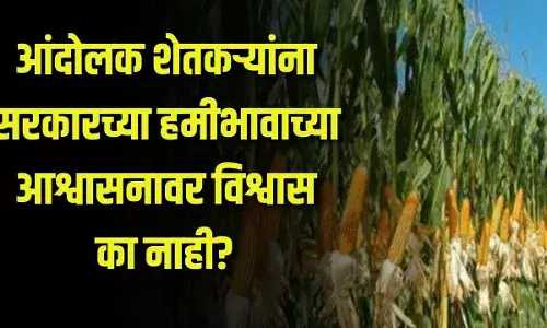 Special Report : आंदोलक शेतकऱ्यांना सरकारच्या हमीभावाच्या आश्वासनावर विश्वास का नाही? Special Report : आंदोलक शेतकऱ्यांना सरकारच्या हमीभावाच्या आश्वासनावर विश्वास का नाही?