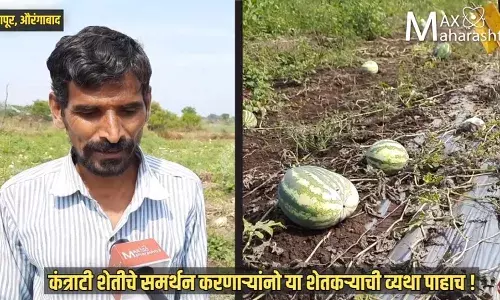 कंत्राटी शेतीचं समर्थन करणाऱ्यांनो ऐका या शेतकऱ्याची व्यथा कंत्राटी शेतीचं समर्थन करणाऱ्यांनो ऐका या शेतकऱ्याची व्यथा