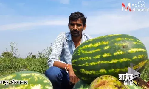 कंत्राटी शेतीत फसवणूक झालेला शेतकरी कंत्राटदाराविरुद्ध का लढू शकत नाही? कंत्राटी शेतीत फसवणूक झालेला शेतकरी कंत्राटदाराविरुद्ध का लढू शकत नाही?