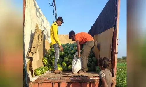 मॅक्स महाराष्ट्र इम्पॅक्ट : कंपनी अखेर शेतकऱ्यांच्या बांदावर   मॅक्स महाराष्ट्राच्या बातमीचा दणका..!