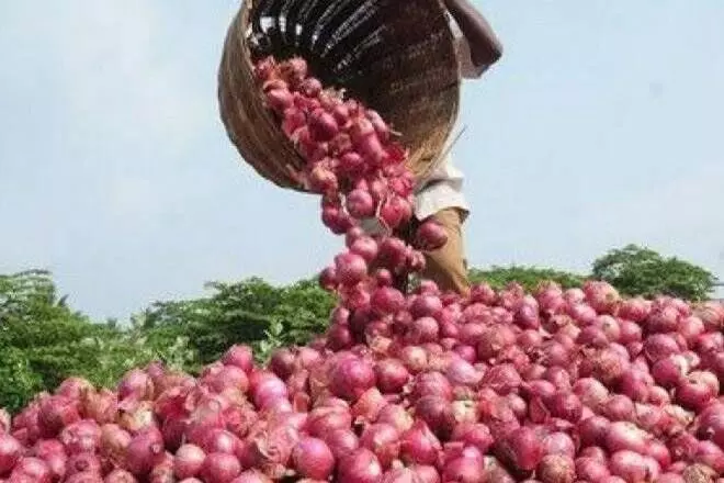 नव्या वर्षात कांदा काय म्हणतोय?