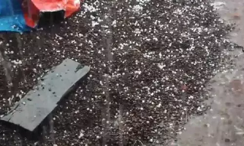 अवकाळी पावसाने शेतकरी हतबल, सरकार मदत करणार का? अवकाळी पावसाने शेतकरी हतबल, सरकार मदत करणार का?