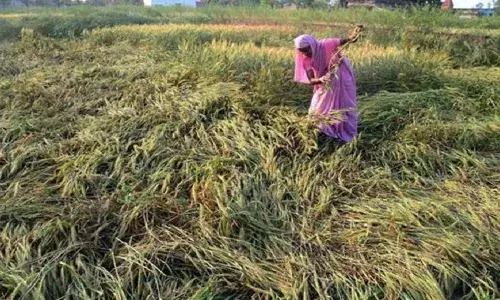 मराठवाड्यात अवकाळीचा तडाखा मराठवाड्यात अवकाळीचा तडाखा