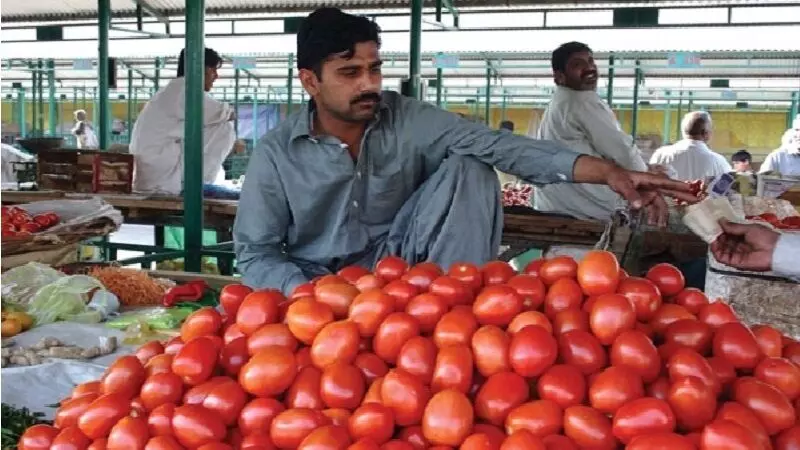 भारतीय टोमॅटोला पाकिस्तानशी वाट मोकळी करा