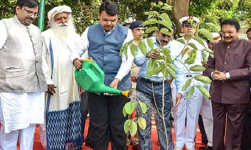 33 कोटी लृक्ष लागवडीची चौकशी होणार, अजित पवारांची घोषणा 33 कोटी लृक्ष लागवडीची चौकशी होणार, अजित पवारांची घोषणा