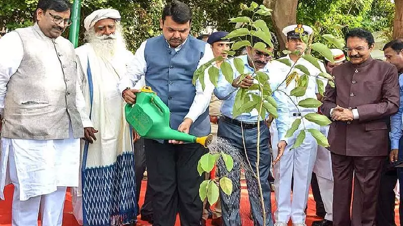 33 कोटी लृक्ष लागवडीची चौकशी होणार, अजित पवारांची घोषणा