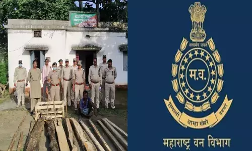 ठाकरेंच्या वनविभागात मनमानी : कोर्टाचा आदेश डावलून १९ अधिकाऱ्यांचे केले डिमोशन ठाकरेंच्या वनविभागात मनमानी : कोर्टाचा आदेश डावलून १९ अधिकाऱ्यांचे केले डिमोशन