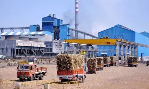 ऊसाच्या शेतीची आणि उद्योगाची परवड सुरुच....