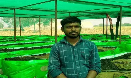 बेरोजगारीवर मात करत पती पत्नीने सुरू केला जैविक गांडूळ खताचा प्रकल्प... बेरोजगारीवर मात करत पती पत्नीने सुरू केला जैविक गांडूळ खताचा प्रकल्प...