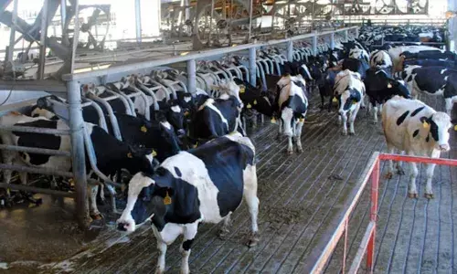 ब्रेक दे चेन : आणखी काही सेवांचा अत्यावश्यक गटात समावेश