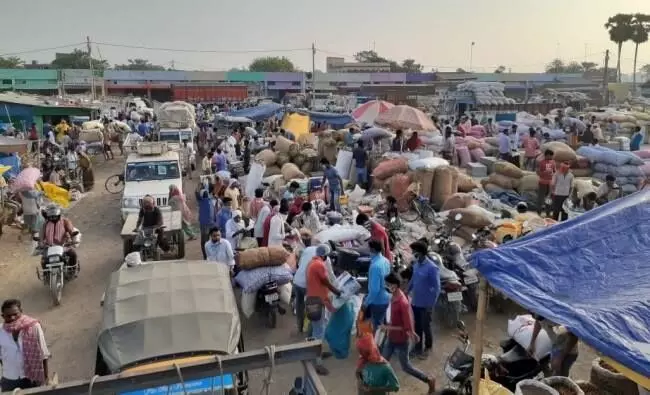 विकेंड लॉकडाऊन नंतर बाजार समितीत्यांमध्ये प्रचंड गर्दी