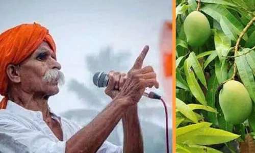 भ्रमिष्टपणा की एजंटगिरी?