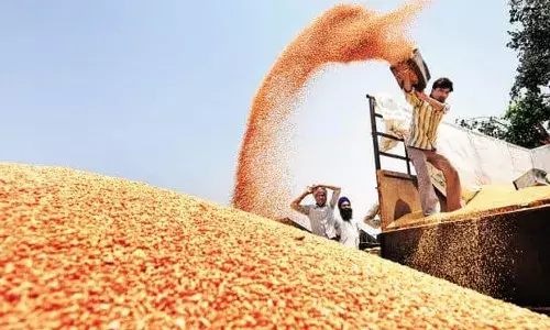 किमान मासिक वेतन ही शेतकर्यांची गरज किमान मासिक वेतन ही शेतकर्यांची गरज