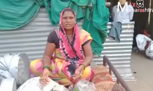 कोरोना काळात सुया घे बिबा घे गं माय... म्हणणारे काय खात असतील?