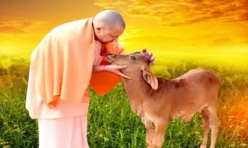 हिंदुराष्ट्र आणि कोलॅटरल डॅमेज हिंदुराष्ट्र आणि कोलॅटरल डॅमेज