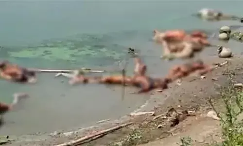 बिहारच्या बक्सर नंतर उत्तर प्रदेशमध्ये नदीमध्ये आढळले मृतदेह बिहारच्या बक्सर नंतर उत्तर प्रदेशमध्ये नदीमध्ये आढळले मृतदेह