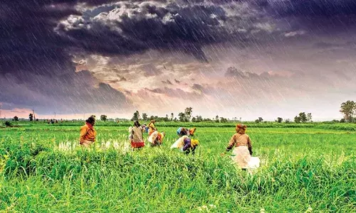 भूक आणि शेतकरी यांचा जागतिक संघर्ष