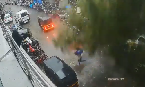 Video: नशिब बलवत्तर! डोक्यावर झाड पडताना महिला पळाली आणि...