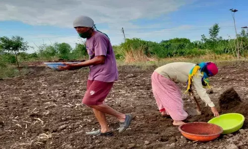 ऊसाच्या मळीची गोष्ट ऊसाच्या मळीची गोष्ट