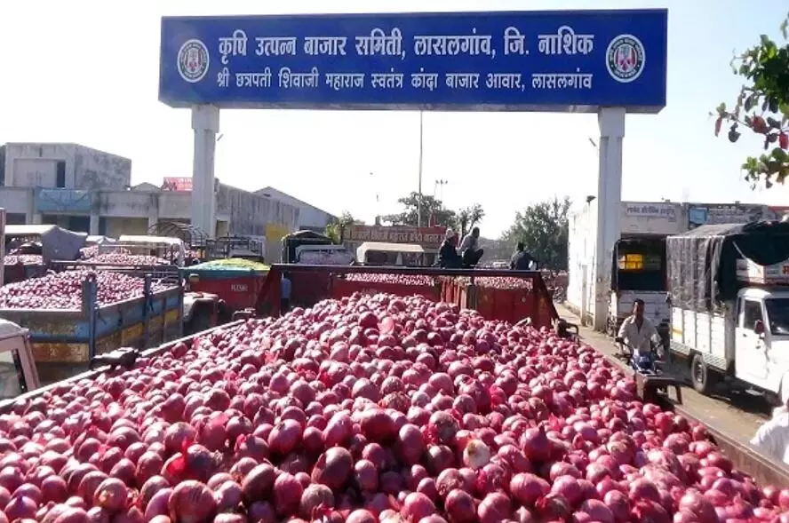 ऐतिहासिक निर्णय: आता अमावस्येला होणार कांद्याचा लिलाव, लासलगाव बाजार समितीचा निर्णय