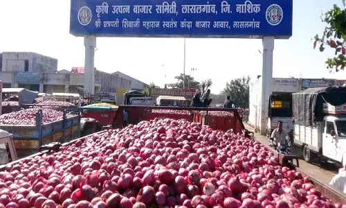 ऐतिहासिक निर्णय: आता अमावस्येला होणार कांद्याचा लिलाव, लासलगाव बाजार समितीचा निर्णय ऐतिहासिक निर्णय: आता अमावस्येला होणार कांद्याचा लिलाव, लासलगाव बाजार समितीचा निर्णय