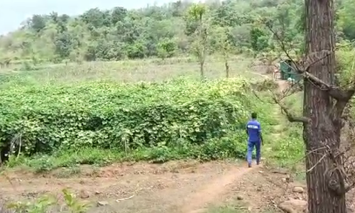 Ground Report : वादळ आणि लॉकडाऊनमुळे आदिवासी शेतकरी उध्वस्त