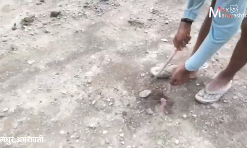 विदर्भातील शेतकऱ्यांचा तारफुली पॅटर्न