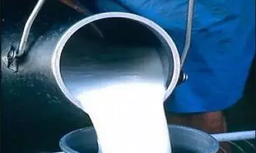 पांढऱ्या दुधातील काळे बोके कोण ? पांढऱ्या दुधातील काळे बोके कोण ?