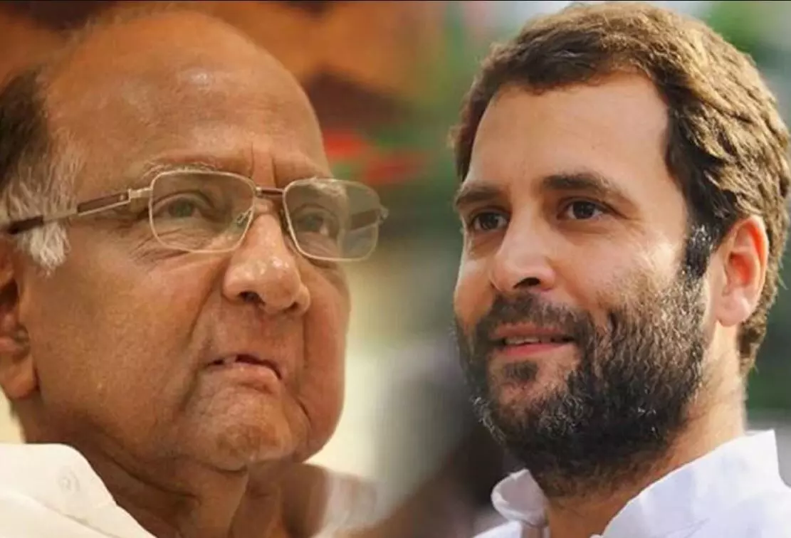 शरद पवारांच्या राजकीय चालीवर राहुल गांधी काय बोलणार?