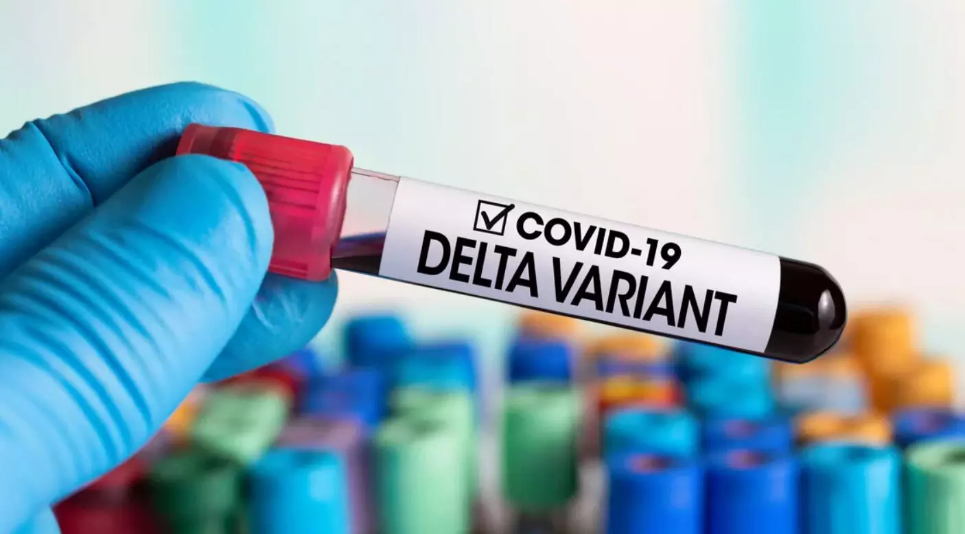 Delta plus Variant: डेल्टा व्हेरिएन्ट सर्वांधिक घातक: डब्लूएचओ