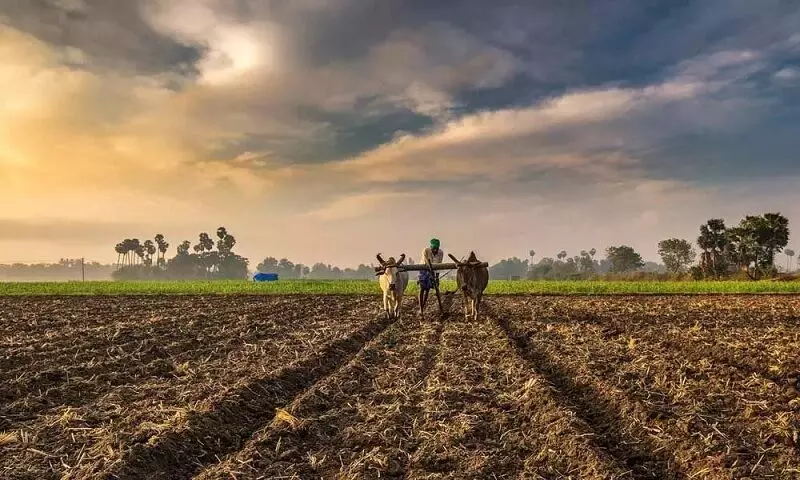 केंद्रीय कृषी कायदे मुळातून रद्द करण्याची भूमिका घ्या: किसान सभा